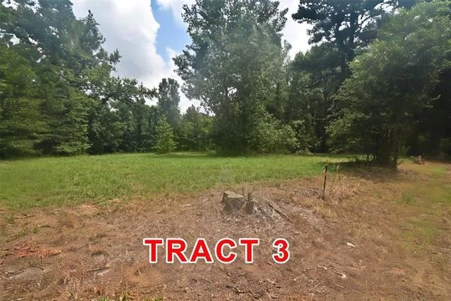 Photo of Tract 3 County Road 3117
