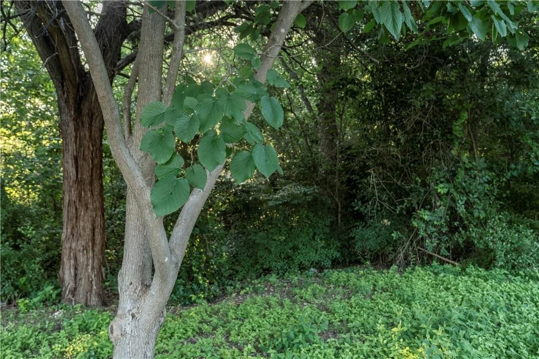 Photo of 2906 Maple Hill Circle
