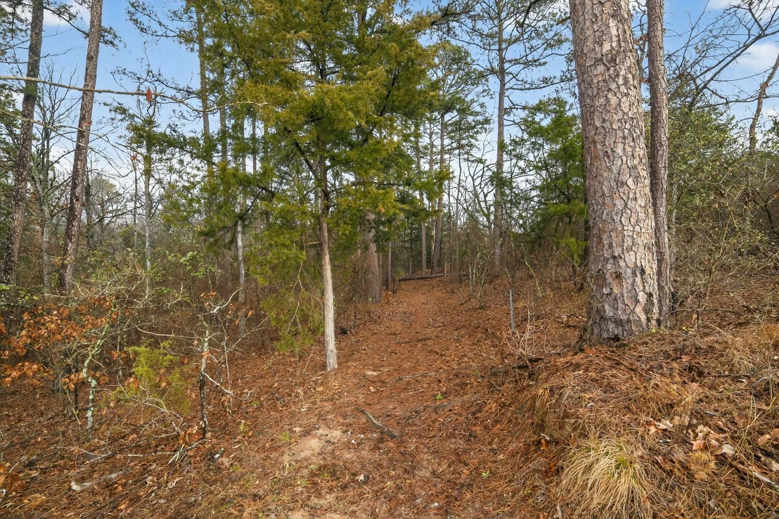 Photo of 868 County Road 2920