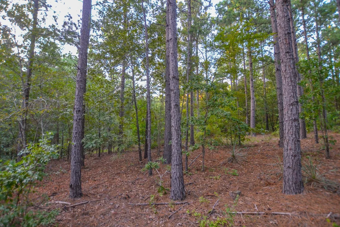 Photo of Tract 1 Hwy 155