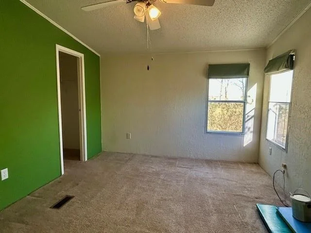 Photo of 385 County Road 161