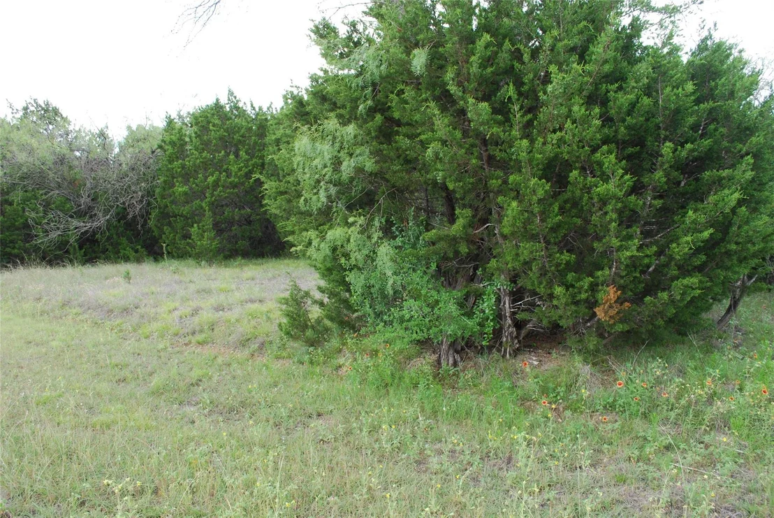 Photo of 23067 Oak Ridge Drive