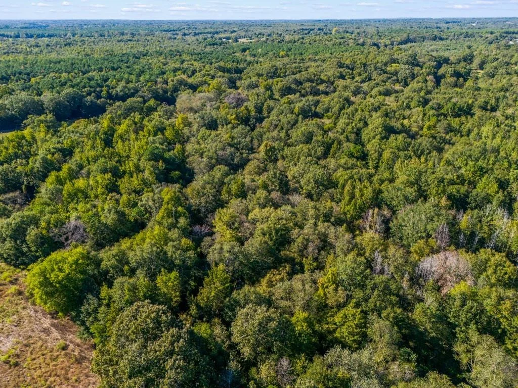 Photo of TBD County Road 3324, 24 Ac