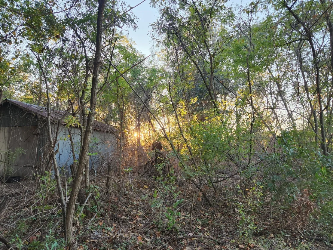 Photo of 0 County Road 2813