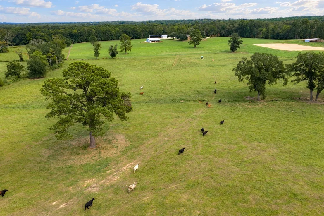 Photo of 3219 County Road 1508
