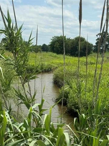 Photo of 509 County Road 378
