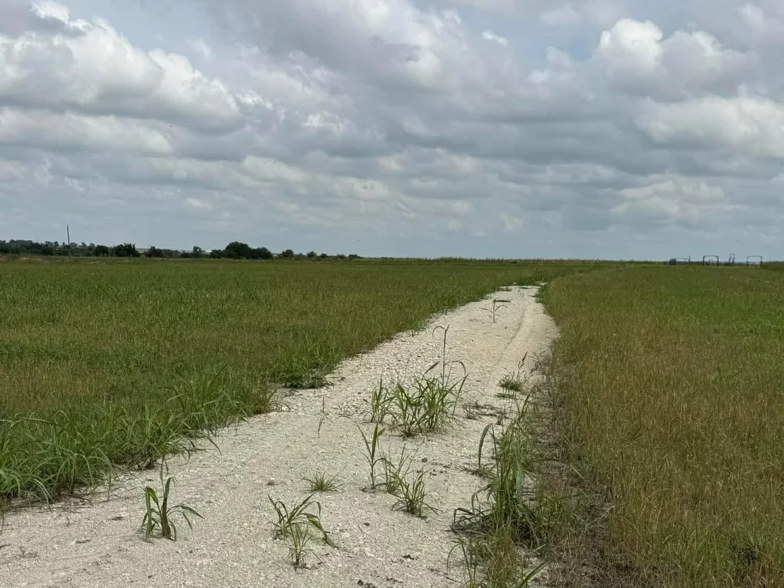 Photo of 1162 County Road 134
