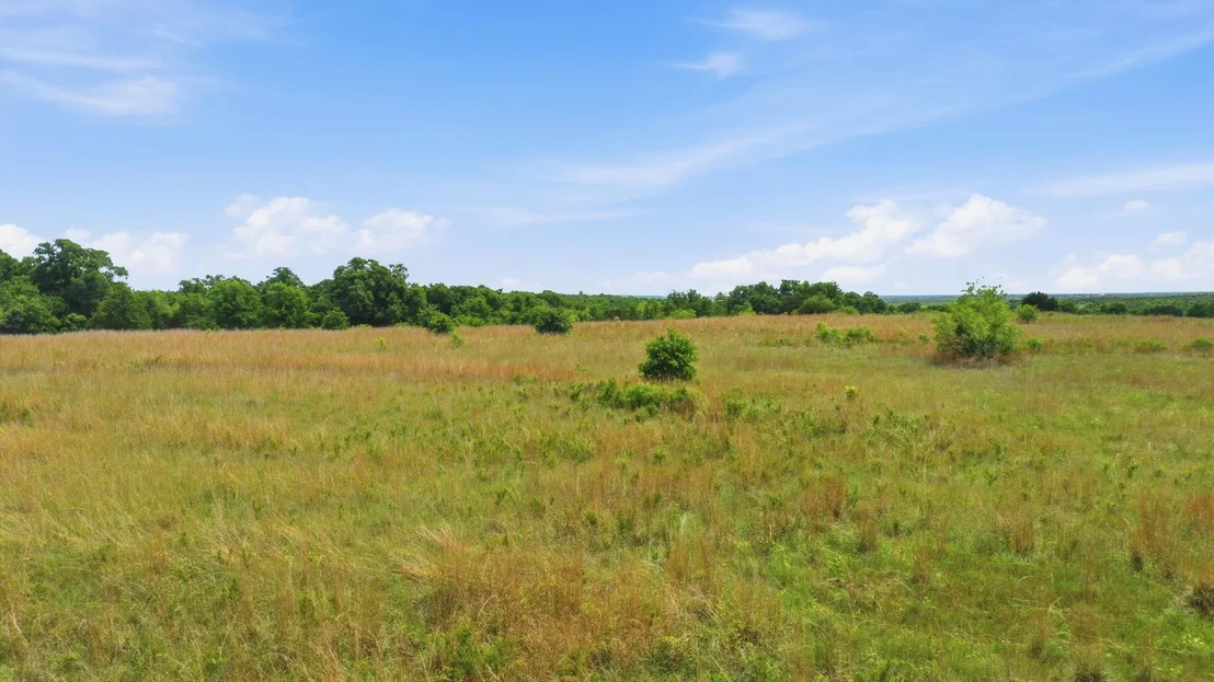 Photo of 2051 Mustang Ridge