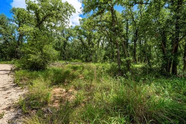 Photo of 868 County Road 405