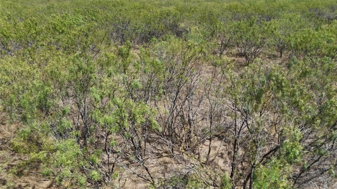 Photo of TBD County Road 3230