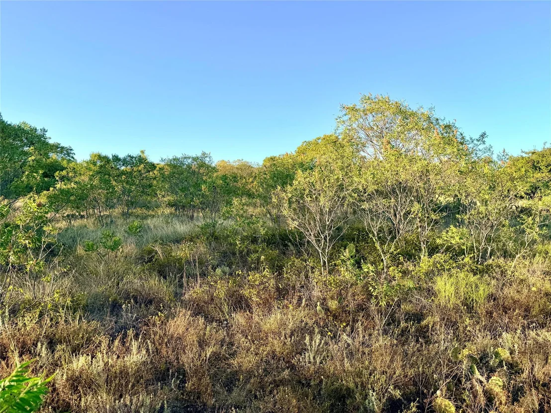 Photo of 37 Pr 224
