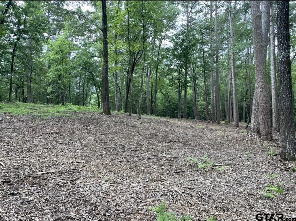 Photo of 1688 County Road 1597