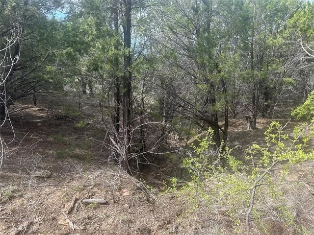 Photo of 1241 Balcones Lane