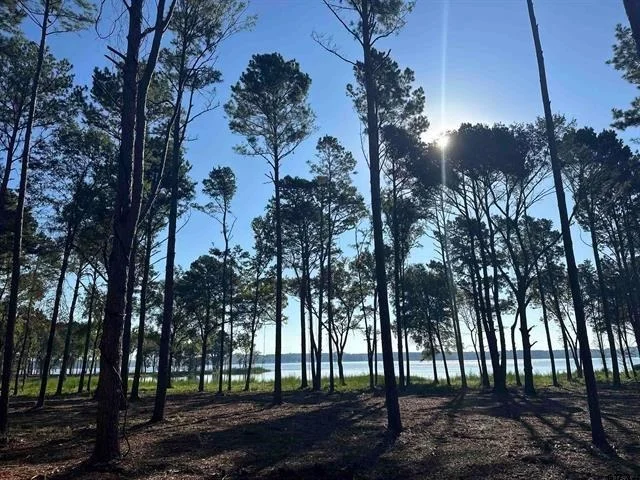 Photo of Lot 43 Oak River