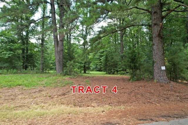 Photo of Tract 4 County Road 3117