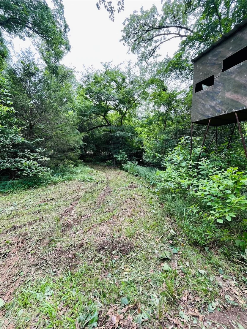 Photo of 950 VZ County Road 1919