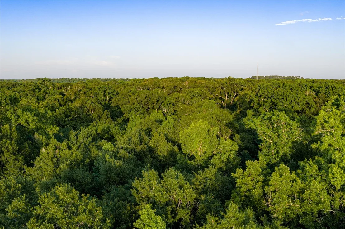 Photo of 13612 County Road 3900