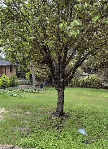 Photo of 3407 Rock Bluff Drive