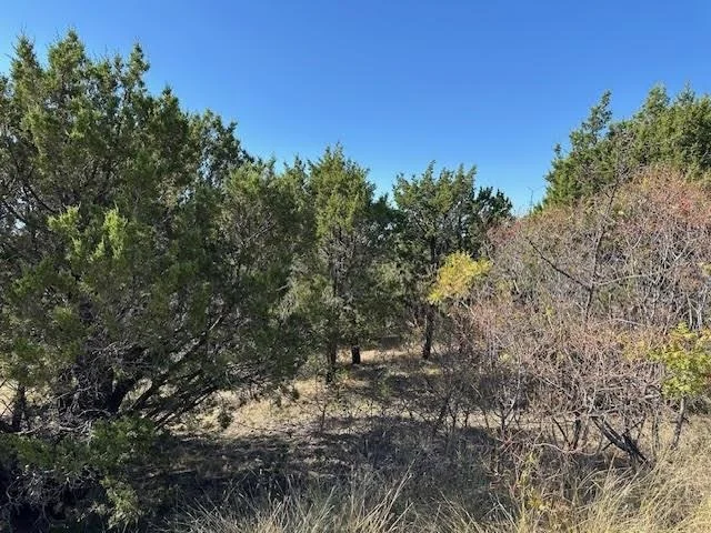 Photo of 1031 Raven Circle