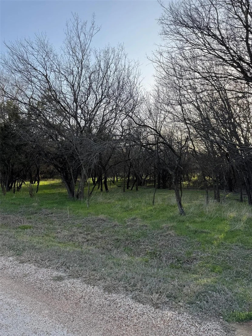 Photo of 12147 Trailwood Drive