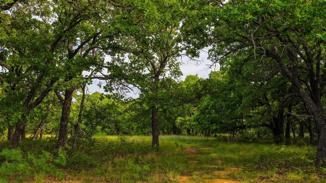 Photo of 3641 Carpenter Road