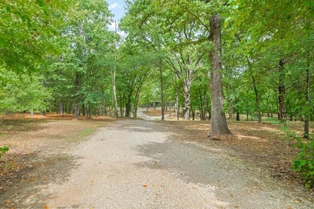 Photo of 11088 State Highway 19