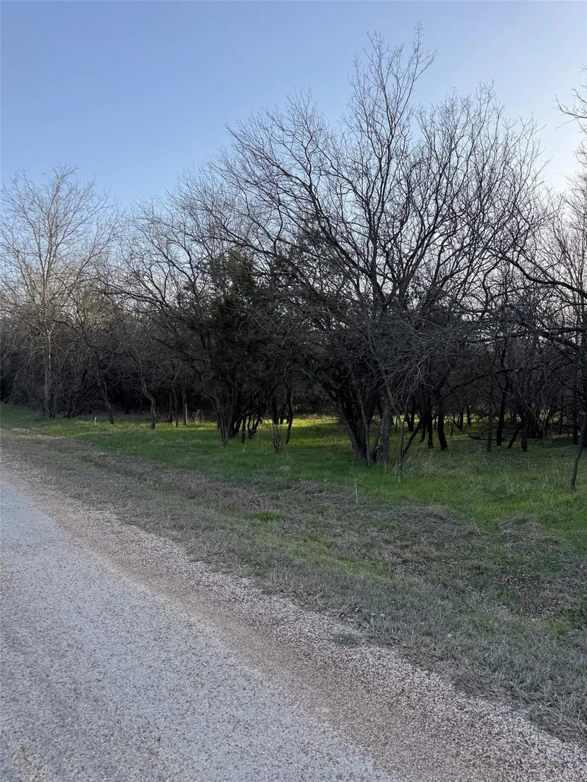 Photo of 12147 Trailwood Drive
