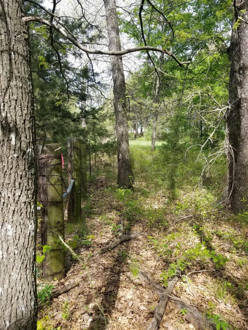 Photo of 0 Fleming Road