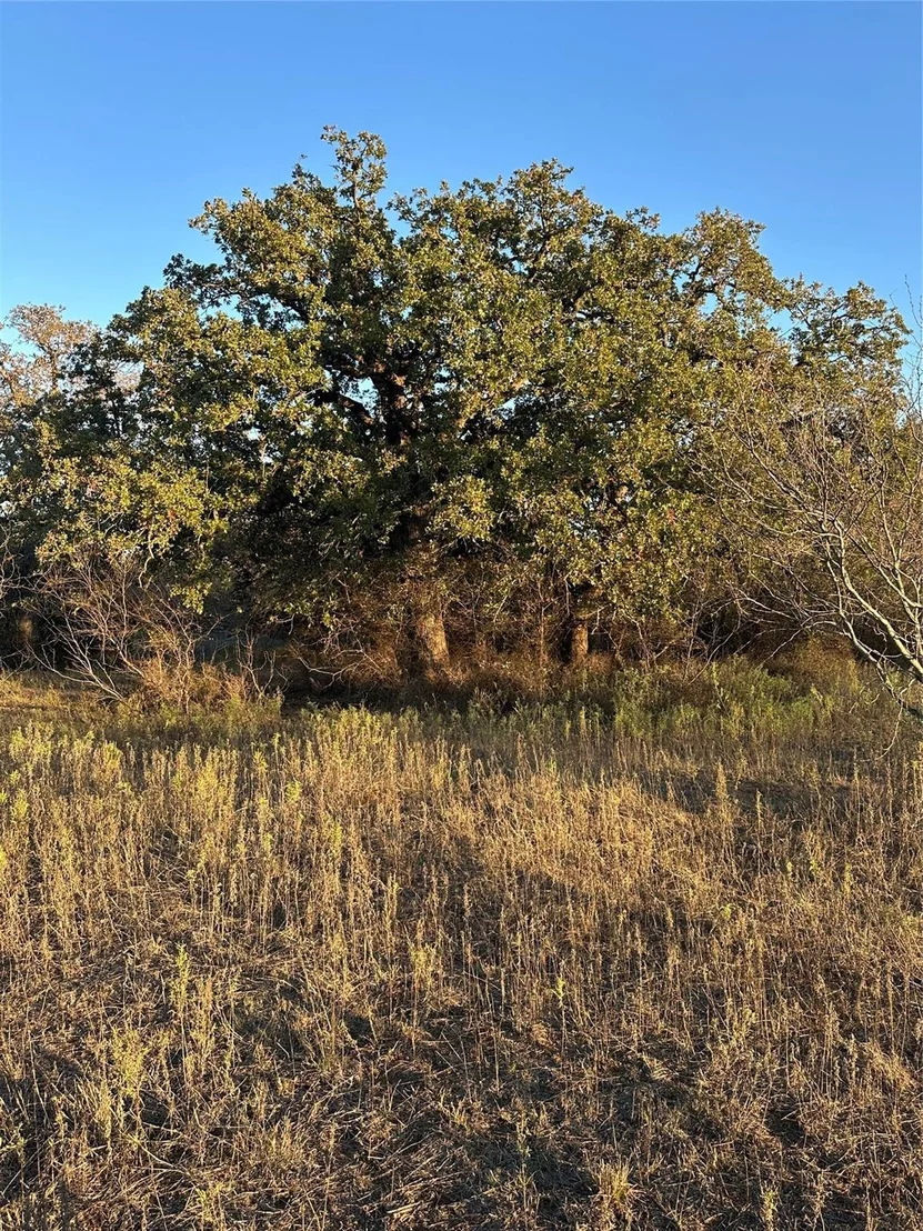 Photo of TBD Thomas 80 Ranch