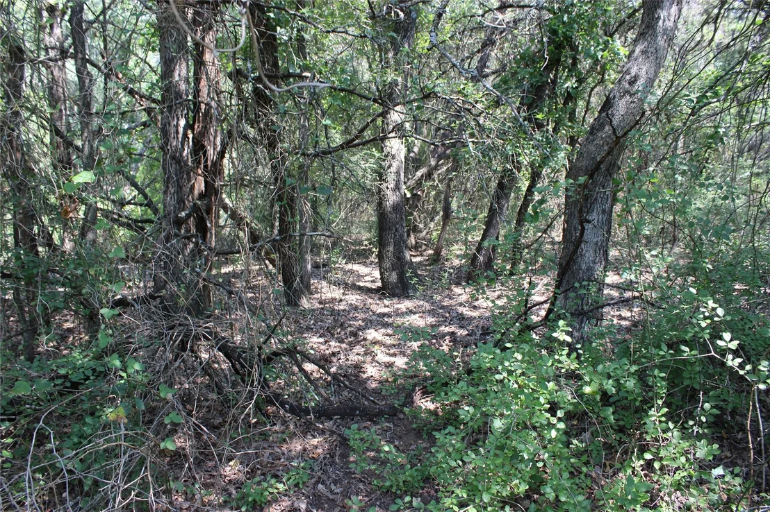 Photo of 24042 Stonewood Drive