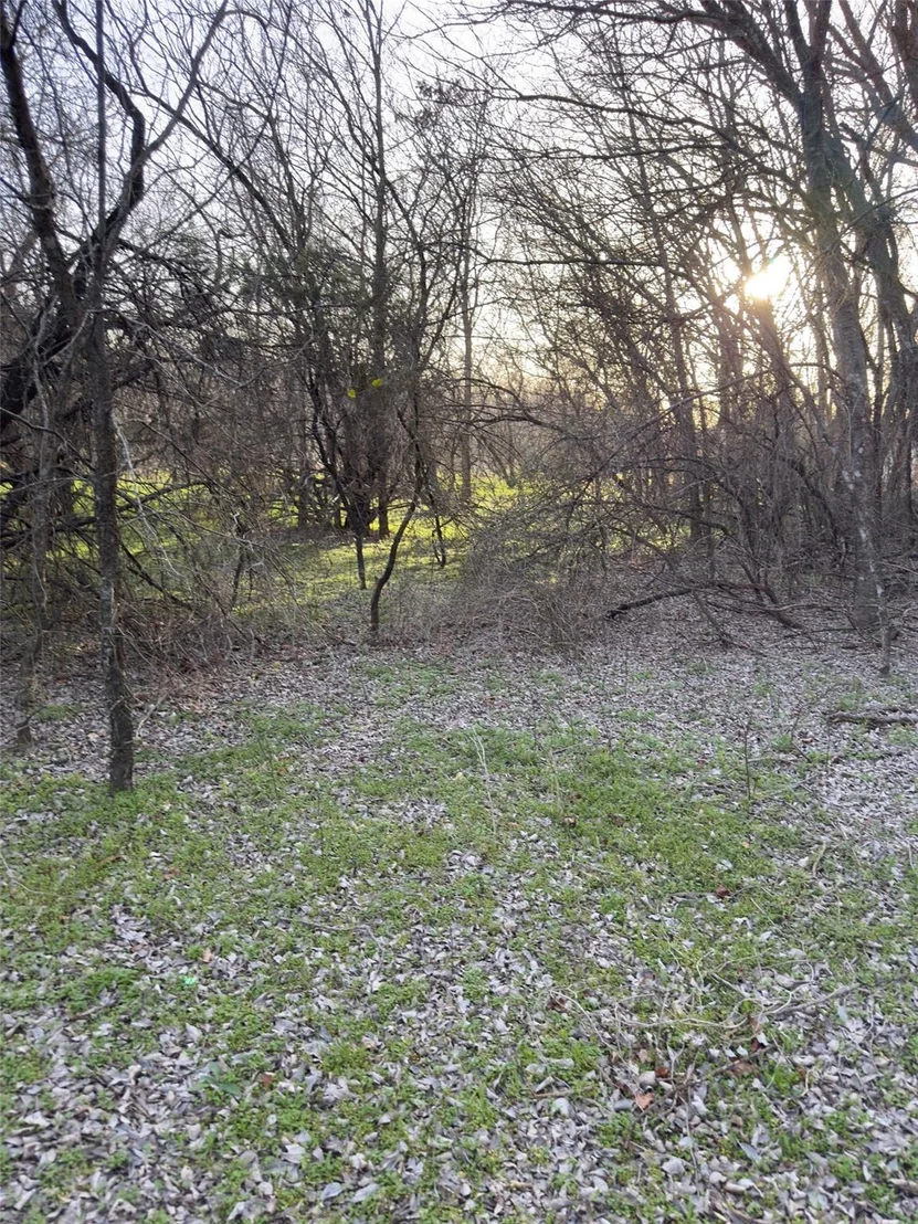 Photo of 12147 Trailwood Drive