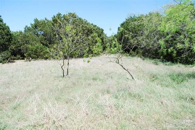 Photo of 19016 Bluebonnet Drive