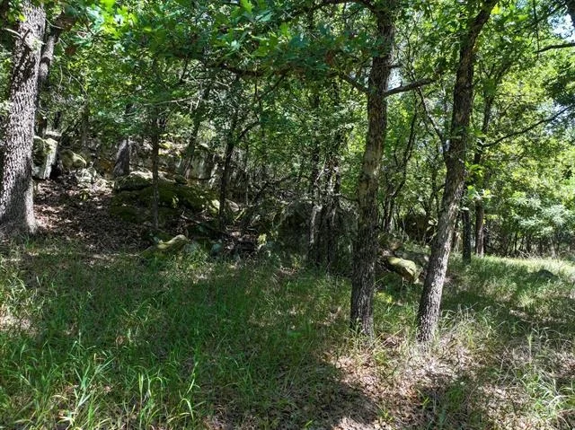 Photo of 18156 Hwy 281 N