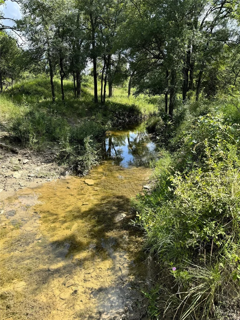 Photo of 342 Tatanka Trail