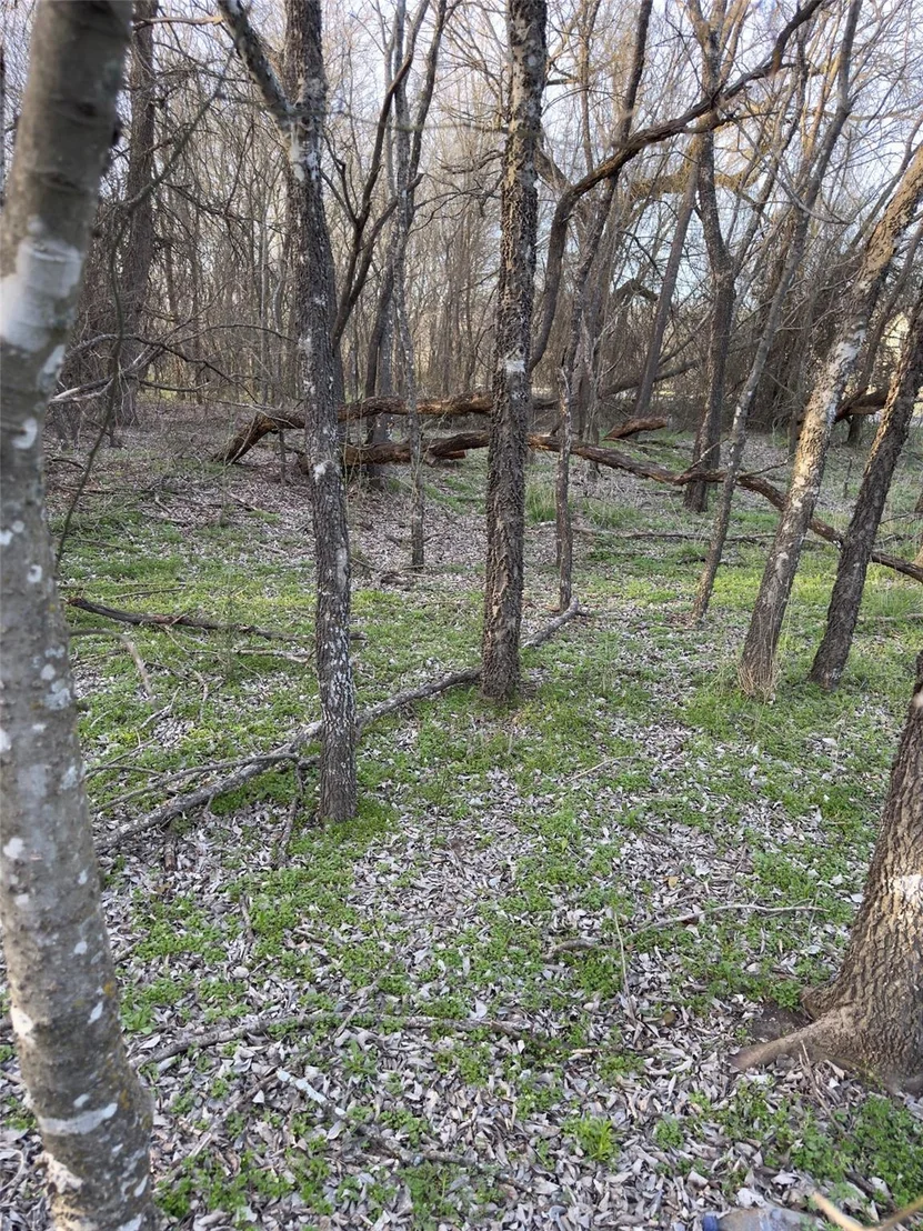Photo of 12147 Trailwood Drive