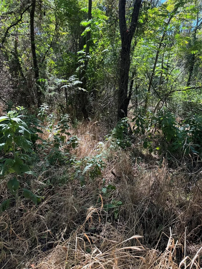 Photo of 15037 Golf Drive