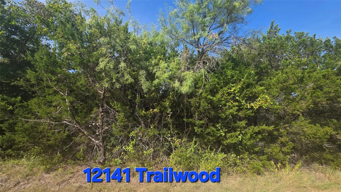 Photo of 12141 Trailwood Drive