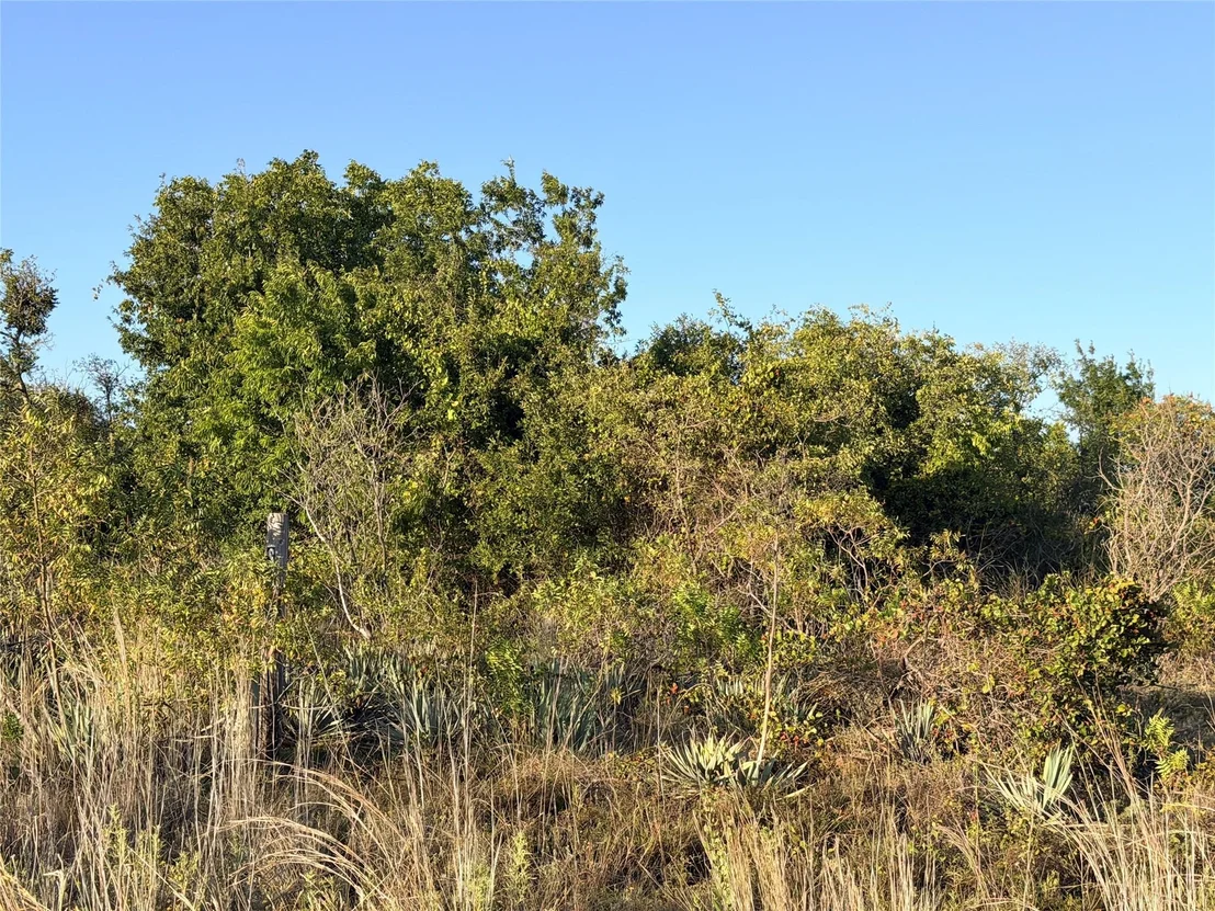 Photo of 37 Pr 224