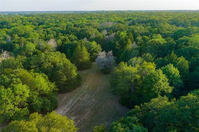 Photo of 10100 County Road 4028