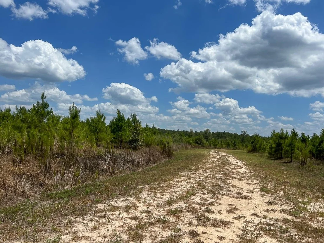 Photo of 0 US 69