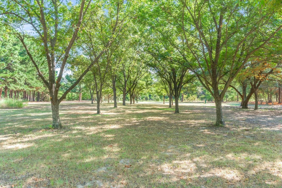 Photo of 540 Vz County Road 3207