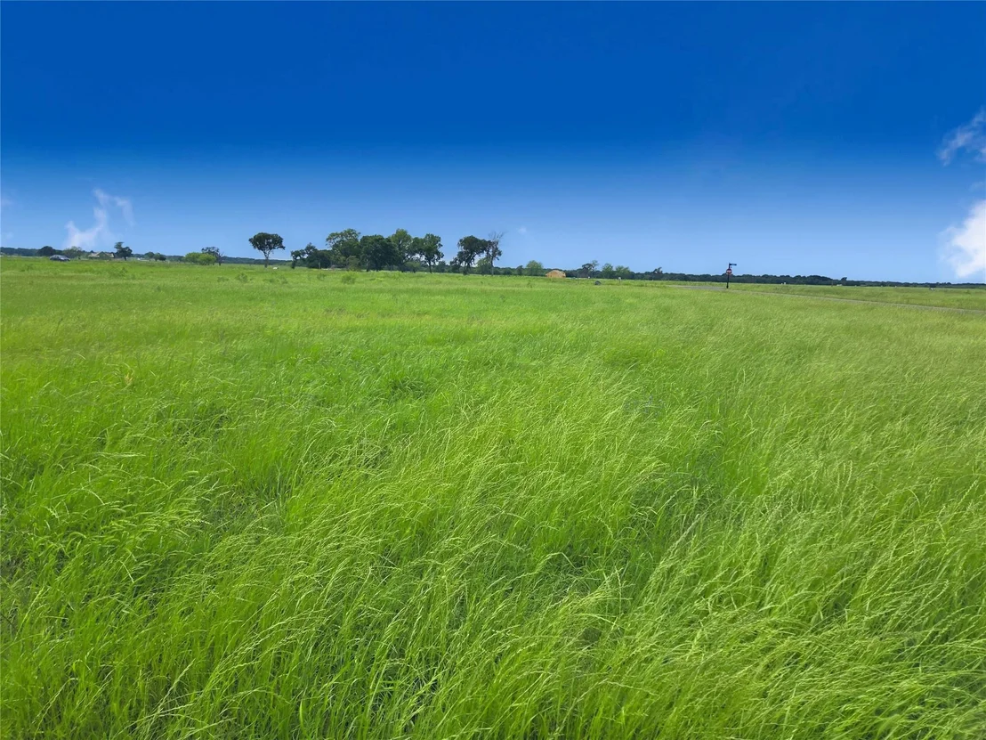 Photo of Lot 82 Sunset Boulevard