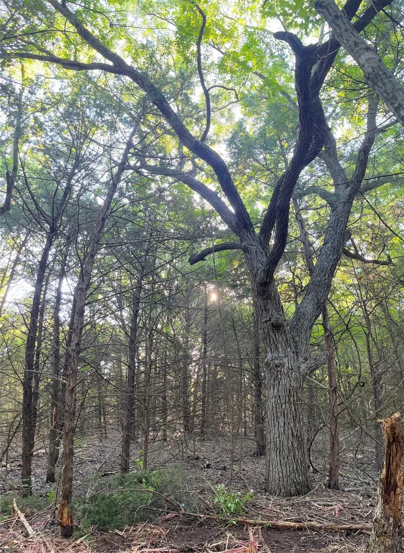 Photo of Tract 1, Key Road