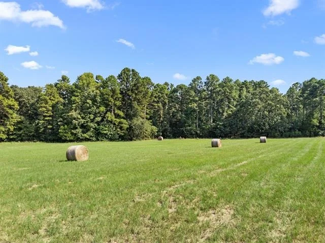 Photo of 1081 County Road 3875