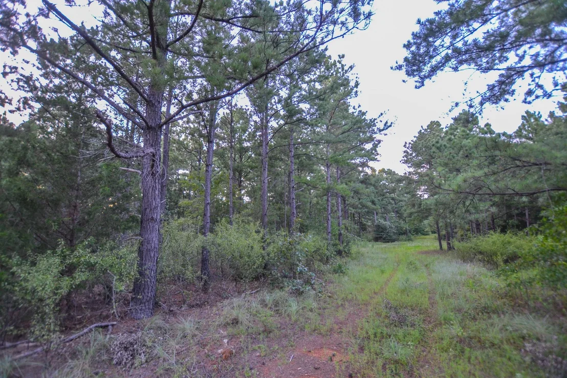 Photo of Tract 1 Hwy 155