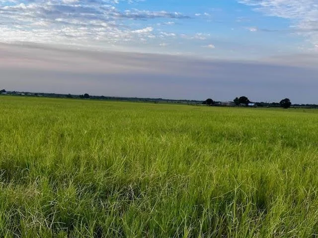 Photo of 9484 State Highway 36 E