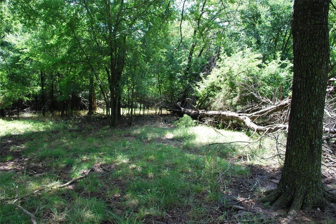 Photo of 15013 Golf Drive