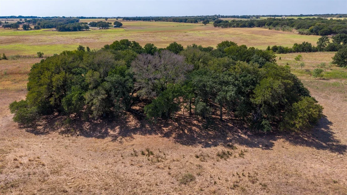 Photo of 1000 County Road 476