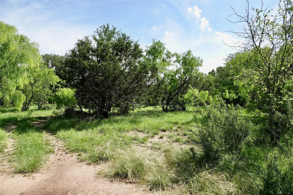 Photo of 981 W Hwy 84