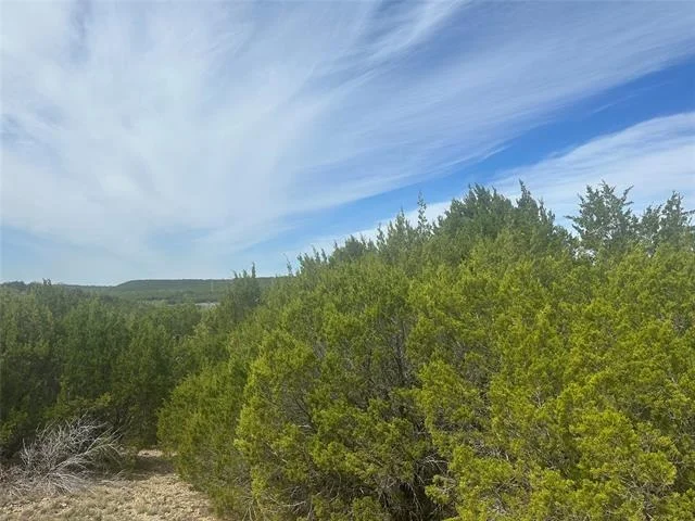Photo of 1241 Balcones Lane